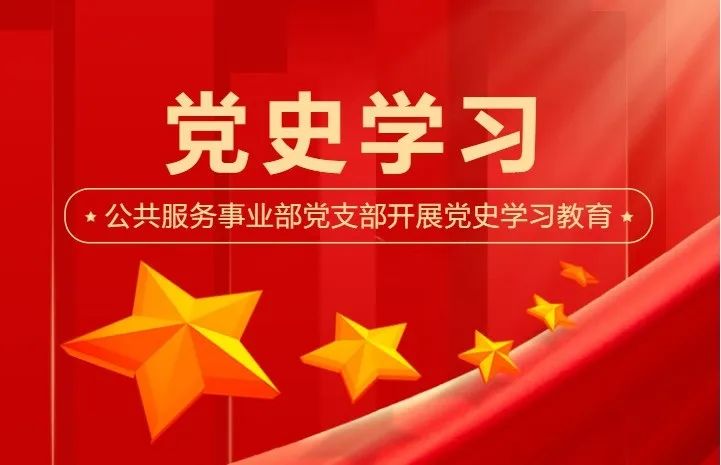 党的建设,公共服务事业部党支部开展党史学习教育公共服务事业部党支部开展党史学习教育,国培中心